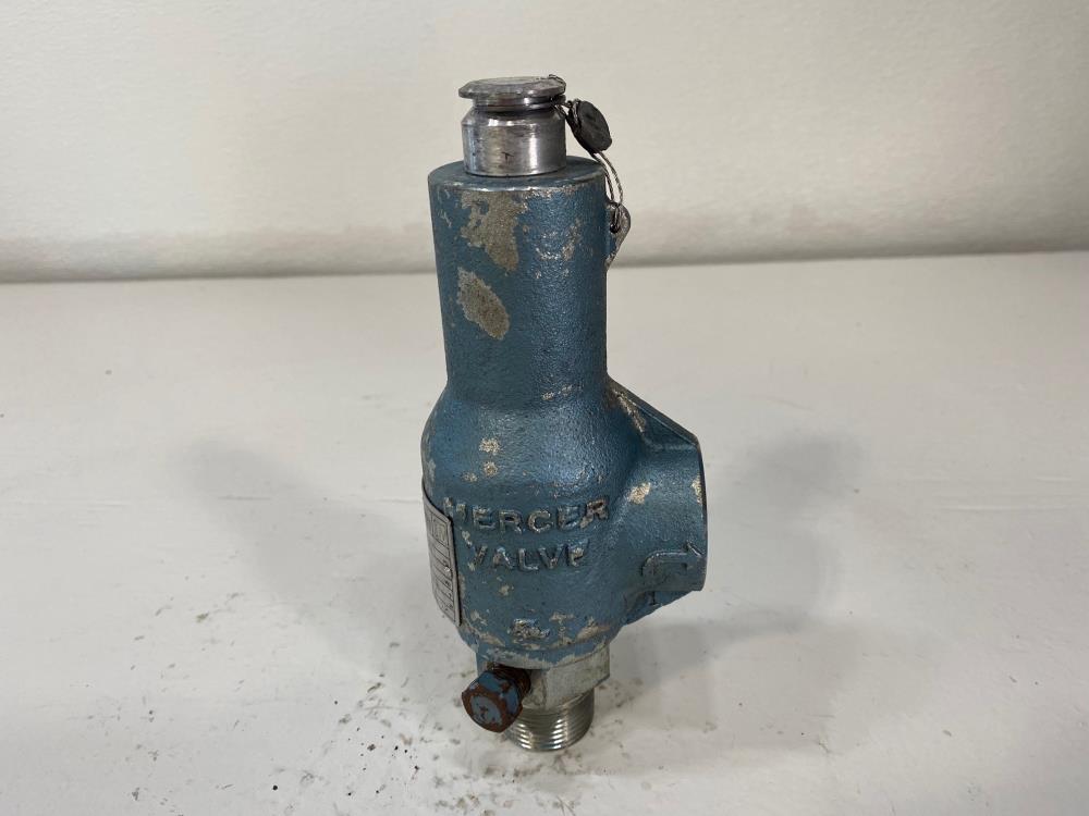 Mercer 1" NPT 150# WCB Relief Valve 81-17151V37P11T